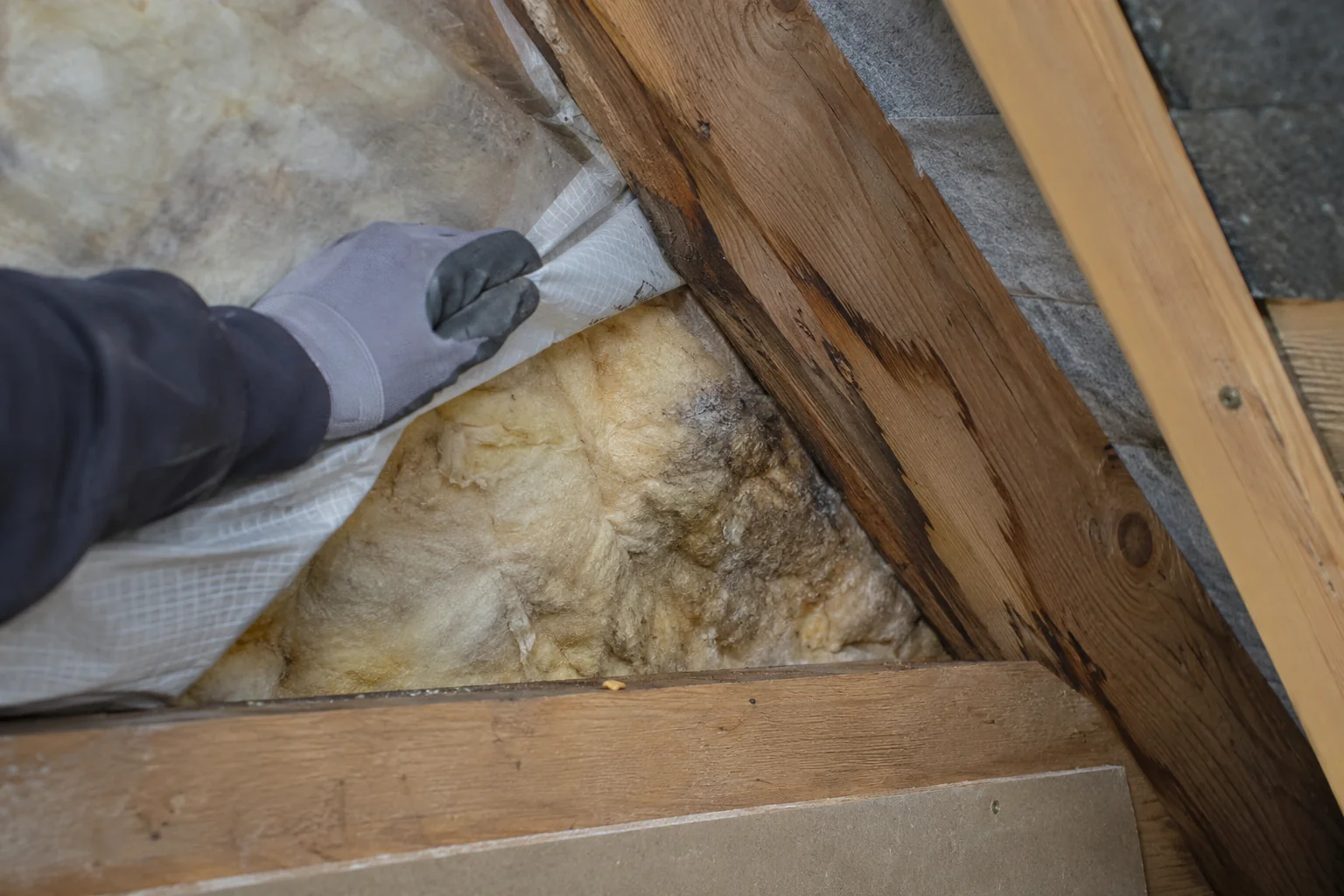 Nat geworden dakisolatie naast een vochtplek in het hout